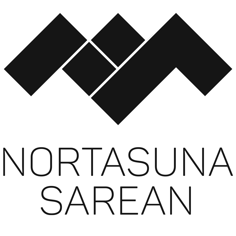 Galdetu - Nortasuna Sarean